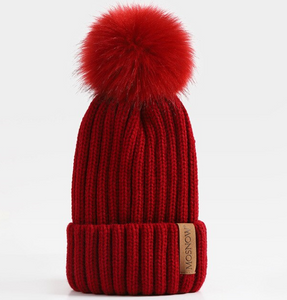 Women's Winter Hat Acrylic Pompom Beanies Warmth Ski Cap