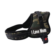 Load image into Gallery viewer, Dog Harness Leash Padded