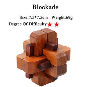 IQ 3D Wooden Brain Teaser Game